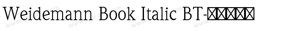 Weidemann Book Italic BT字体转换